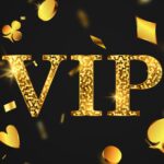 التكلفة الحقيقية لبرامج كبار الشخصيات (VIP)